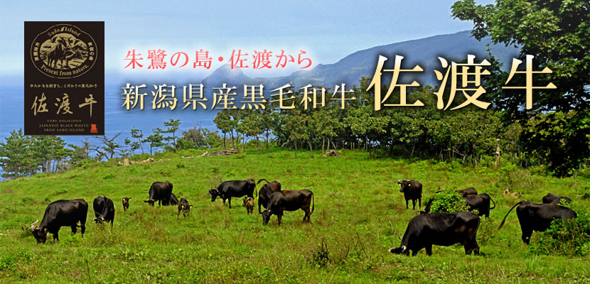 佐渡牛 新潟県産黒毛和牛