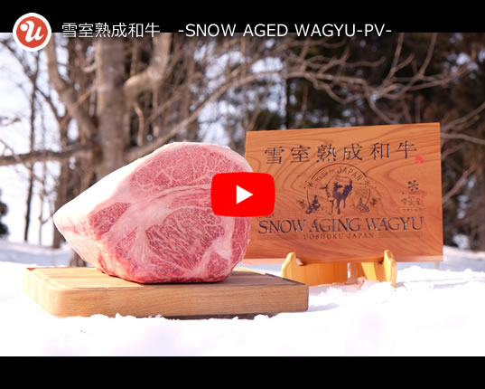 SNOW AGID WAGYU-  PV