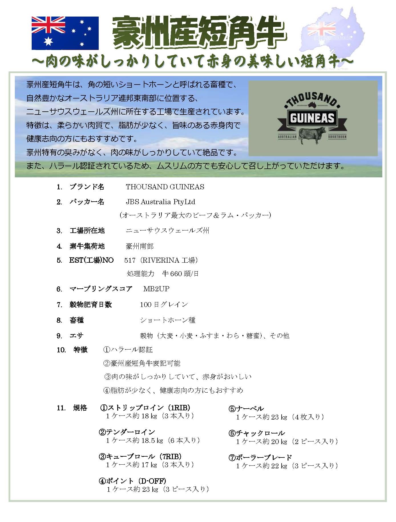 豪州産短角牛チラシ1(表・社名なし)