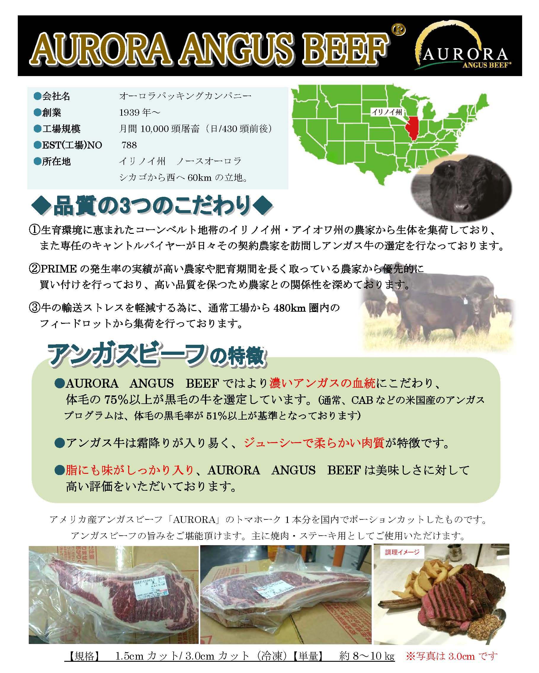 オーロラビーフチラシ